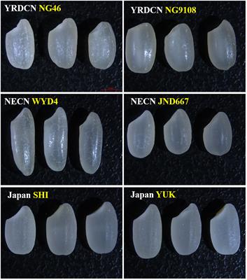 A comparative study of grain quality and physicochemical properties of premium japonica rice from three typical production regions